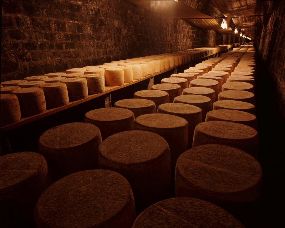 Solution de nébulisation dans une fromagerie