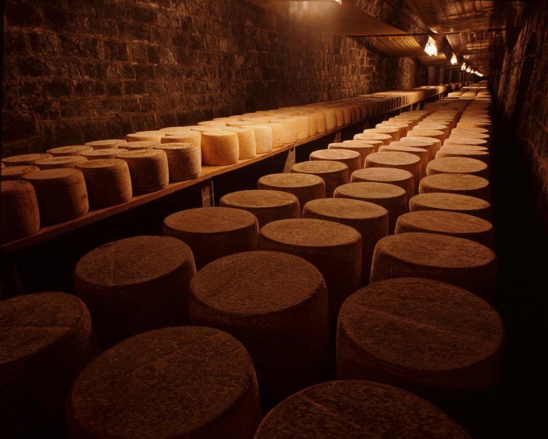 Solution de nébulisation dans une fromagerie