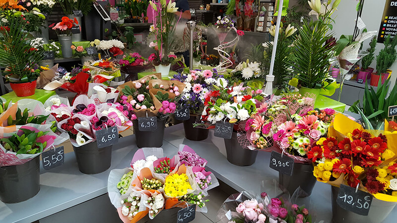 La nébulisation ARECO des fleurs et plantes en magasin