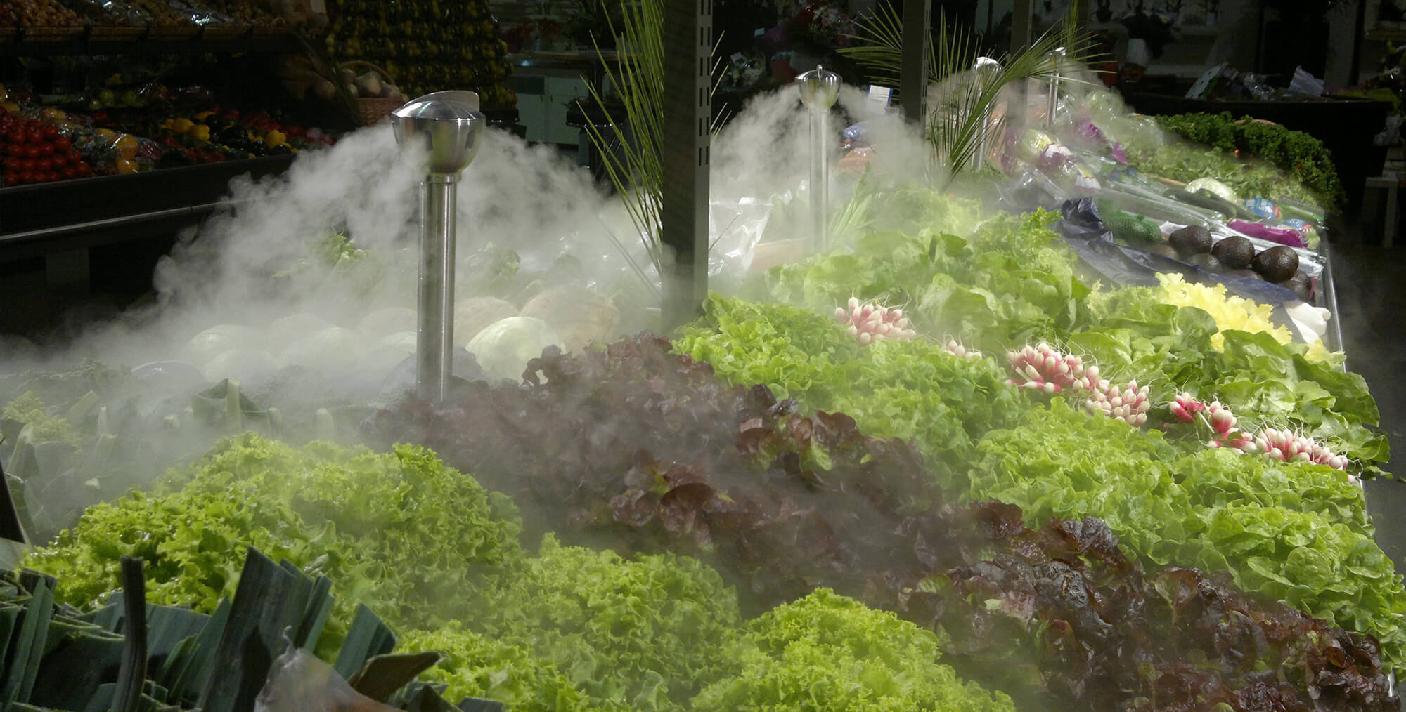 La nébulisation ARECO sur des salades