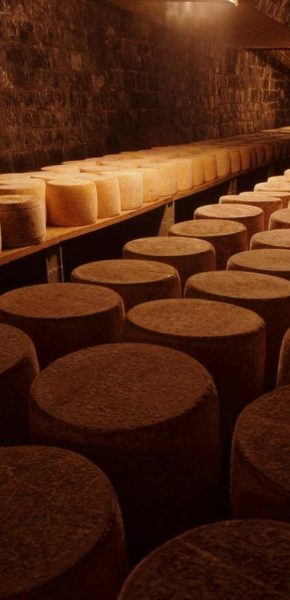 Solution de nébulisation dans une fromagerie