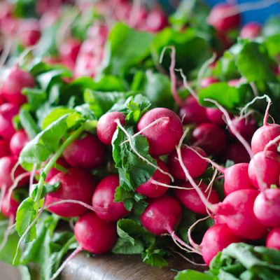 Légumes à nébuliser